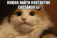 нужно найти контактик Cassandr'ы 