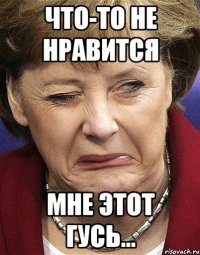 Что-то не нравится мне этот гусь...