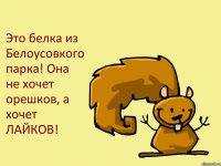 Это белка из Белоусовкого парка! Она не хочет орешков, а хочет ЛАЙКОВ!