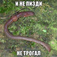 И не пизди не трогал