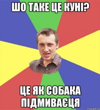 шо таке це куні? це як собака підмиваєця