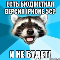 есть бюджетная версия iphone 5c? и не будет!