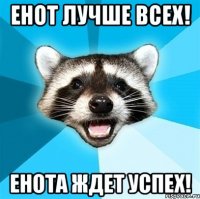 Енот лучше всех! Енота ждет успех!