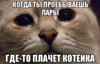 Когда ты проебываешь пары где-то плачет котейка