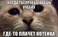 когда ты проёбываешь учебку где-то плачет котейка