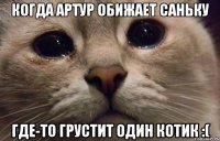 Когда Артур обижает Саньку Где-то грустит один котик :(