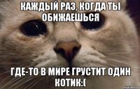 Каждый раз, когда ты обижаешься Где-то в мире грустит один котик:(