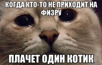 когда кто-то не приходит на физру плачет один котик