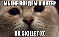 мы не поедем в Питер на Skillet(((