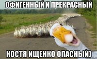 Офигенный и прекрасный Костя Ищенко опасный)