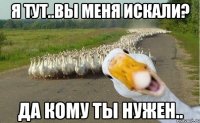 я тут..вы меня искали? да кому ты нужен..