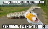 АКЦИЯ!!!!ТОРОПИТЕСЬ!!!!Brain. Реклама: 1 день-1голос!