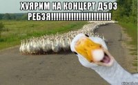 Хуярим на концерт Д503 РЕБЗЯ!!!!!!!!!!!!!!!!!!!!!!!! 