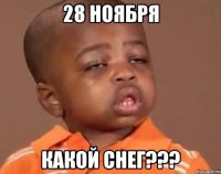 28 ноября какой снег???