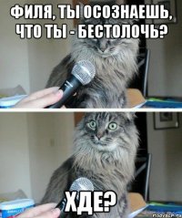 Филя, ты осознаешь, что ты - бестолочь? Хде?