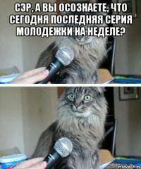 Сэр, а вы осознаете, что сегодня последняя серия молодежки на неделе? 