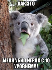 как это меня убил игрок с 10 уровнем!!!