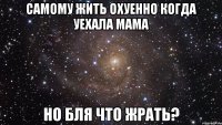 самому жить охуенно когда уехала мама но бля что жрать?