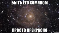 быть его хомяком просто прекрасно