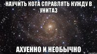 НАУЧИТЬ КОТА СПРАВЛЯТЬ НУЖДУ В УНИТАЗ АХУЕННО И НЕОБЫЧНО