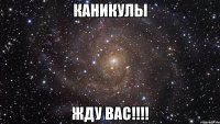 Каникулы жду вас!!!!