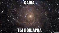 Саша, Ты лошарка