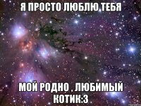 я просто люблю тебя мой родно , любимый котик:3