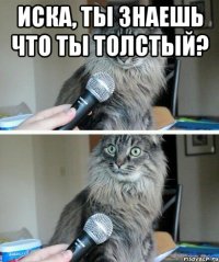 иска, ты знаешь что ты толстый? 