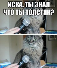 иска, ты знал что ты толстяк? 