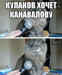 Кулаков хочет канавалову 