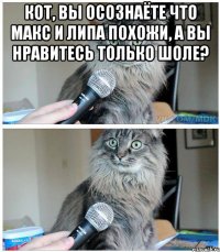 кот, вы осознаёте что макс и липа похожи, а вы нравитесь только шоле? 