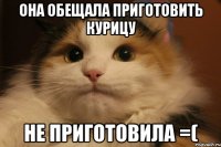 Она обещала приготовить курицу Не приготовила =(