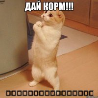 дай корм!!! うちのネコもこうなればいいのに！