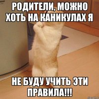 родители, можно хоть на каникулах я не буду учить эти правила!!!