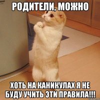 родители, можно хоть на каникулах я не буду учить эти правила!!!