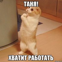 таня! хватит работать