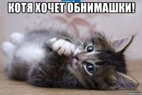 котя хочет обнимашки! 