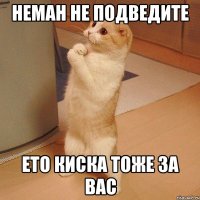 неман не подведите ето киска тоже за вас