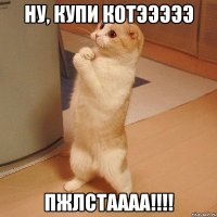 ну, купи котэээээ пжлстаааа!!!