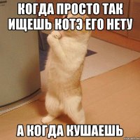 когда просто так ищешь котэ его нету а когда кушаешь