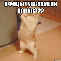 йфяцычувскамепи понил??? 