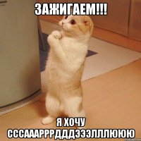 зажигаем!!! я хочу сссааарррдддэээлллююю