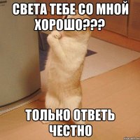 света тебе со мной хорошо??? только ответь честно