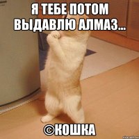 я тебе потом выдавлю алмаз... ©кошка