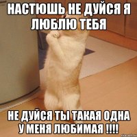 настюшь не дуйся я люблю тебя не дуйся ты такая одна у меня любимая !!!