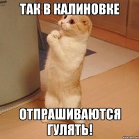 так в калиновке отпрашиваются гулять!