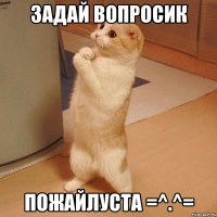 задай вопросик пожайлуста =^.^=