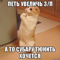 Петь увеличь з/п А то субару тюнить хочется