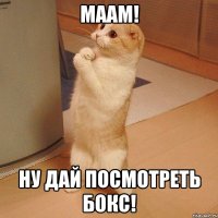 Маам! Ну дай посмотреть бокс!