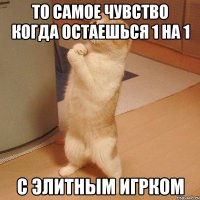 То самое чувство когда остаешься 1 на 1 с элитным игрком